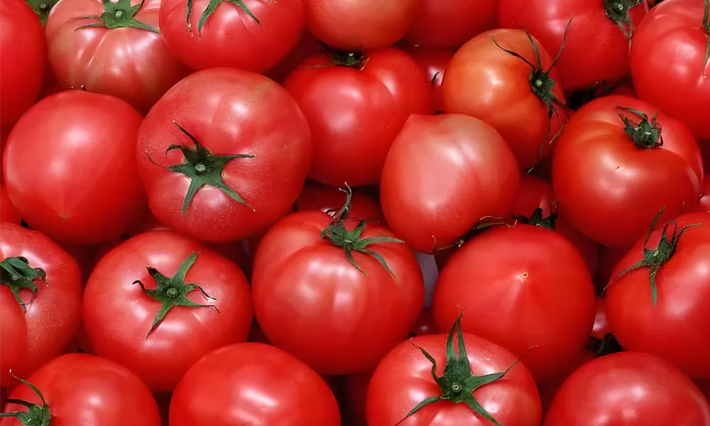 Le rôle de l'enregistreur de données de température dans le transport des tomates