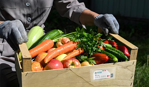 L'importance des enregistreurs de données de température dans la logistique de la chaîne du froid