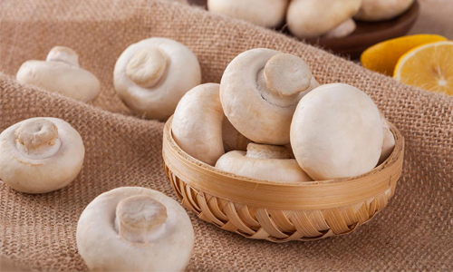 Façons de conserver la fraîcheur lors du transport des champignons —— Suivi de la température et de l'humidité en temps réel