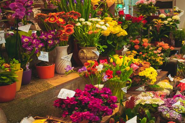 L'aide de l'enregistreur de température et d'humidité portable pour le transport des fleurs