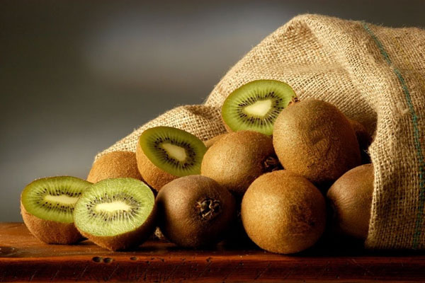 Gardez Kiwifruit Fresh Equipment important - Enregistreur de température de la chaîne froide