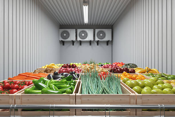 L'importance des enregistreurs de température du transport pour le transport alimentaire