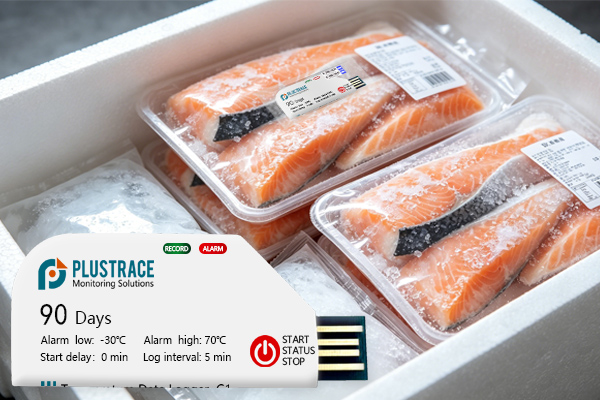Enregistreur de température de la chaîne du froid : accompagnez tout le parcours des aliments surgelés