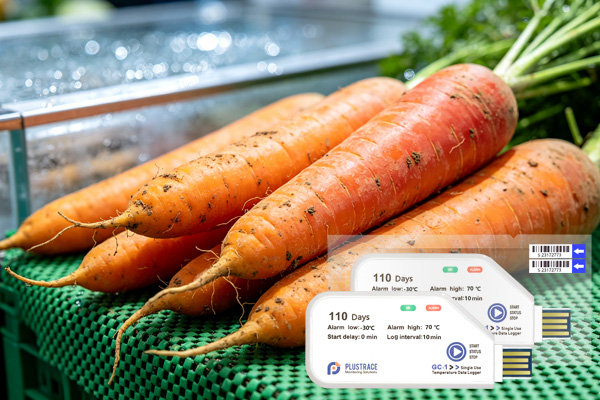 Défense de la température du transport sous chaîne du froid des carottes